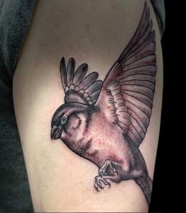 birb