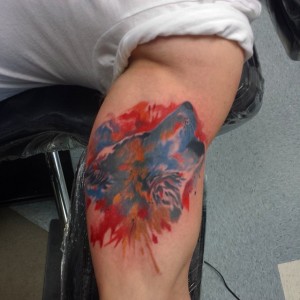 1524685_882952858429985_3784351077650794106_n