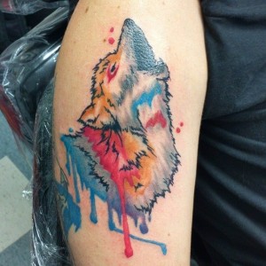 10403497_728645120527427_6836542854610003801_n