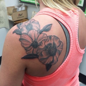 10460497_726306074094665_4349766588309129682_n